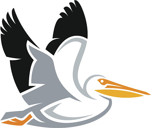 Stylized bird - American White Pelican
